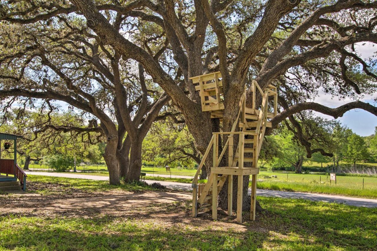 Betty Bs River House Less Than 1 Mi To Blanco State Park! エクステリア 写真